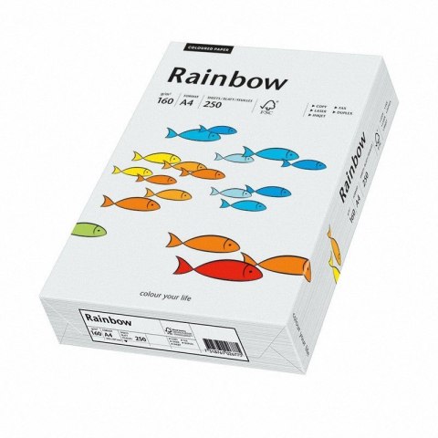 Papier xero A4 160 j.szary 250aR93 RAINBOW 88042791/84 (X)