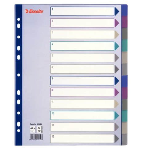 Przekładki plastikowe Multicolor PP, A4 Maxi - 12 kart Esselte, 20649 Przekładki plastikowe Multicolor PP, A4 Maxi - 12 kart Esselte, 20649