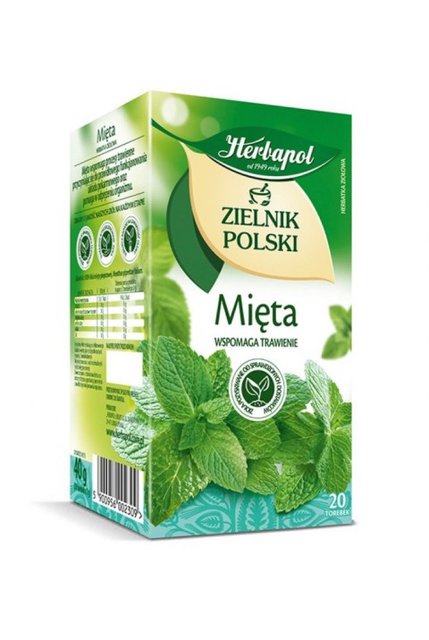 Herbata HERBAPOL ZIELNIK POLSKI Mięta (20 torebek)