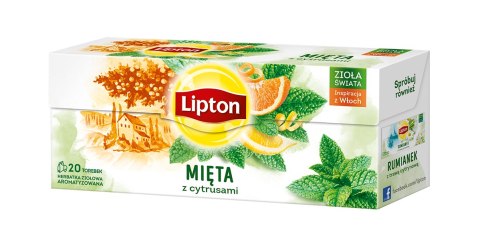 Herbata LIPTON MIĘTA Z CYTRUSAMI 20 saszetek Herbata LIPTON MIĘTA Z CYTRUSAMI 20 saszetek