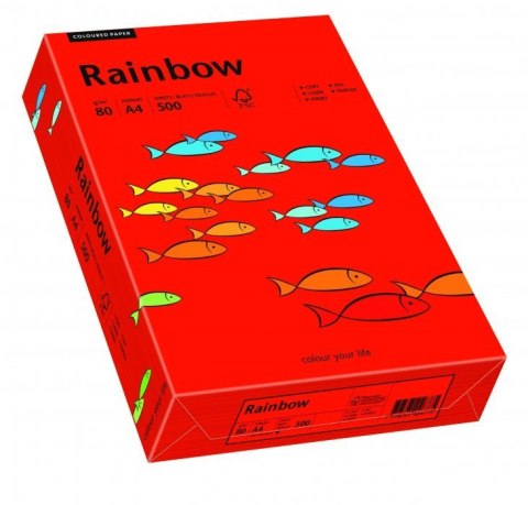Papier xero kolorowy RAINBOW 80gr. ciemnoczerwony R28 88042475 Papier xero kolorowy RAINBOW 80gr. ciemnoczerwony R28 88042475