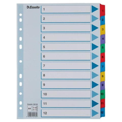 Przekładki kartonowe MYLAR A4 1-12 100162 białe ESSELTE