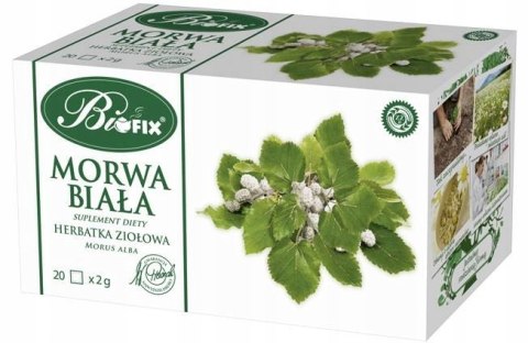 Herbata BIFIX Morwa Biała 20t ziołowa Herbata BIFIX Morwa Biała 20t ziołowa