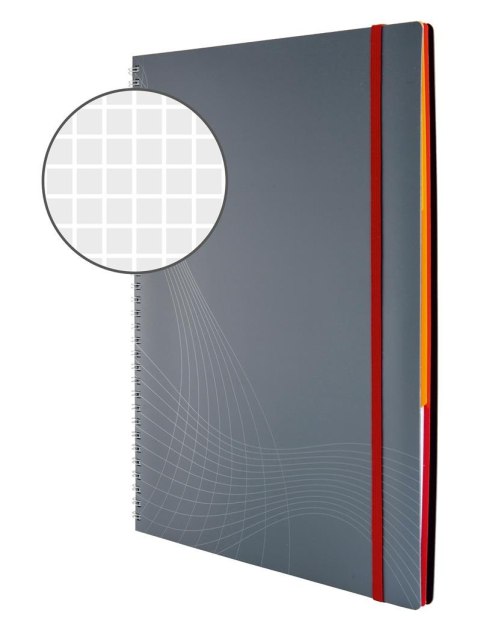 Kołonotatnik_Notizio 7017 A4 kratka 90 kartek oprawa - tworzywo sztuczne, szary, Notizio by Avery Zweckform Kołonotatnik_Notizio 7017 A4 kratka 90 kartek oprawa - tworzywo sztuczne, szary, Notizio by Avery Zweckform