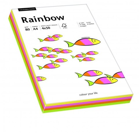 Papier xero kolorowy RAINBOW mix pastelowy 100ark 88043187 Papier xero kolorowy RAINBOW mix pastelowy 100ark 88043187