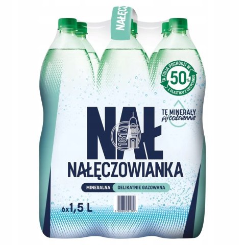 Woda NAŁĘCZOWIANKA mocniejszy gaz 1.0L butelka PET zgrzewka 6 szt.