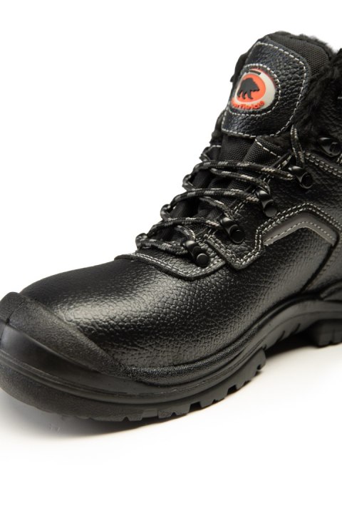 TRZEWIK BEARFIELD OCIEPLANY R02 S3 SRC