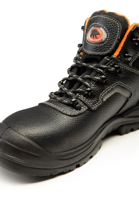 TRZEWIK BEARFIELD R02 S1 SRC