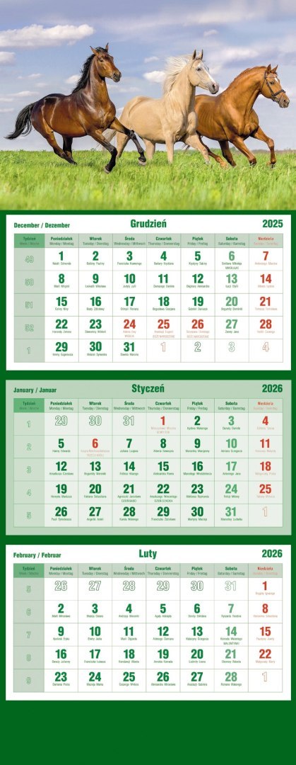 Kalendarz trójdzielny 2026 Konie Michalczyk i Prokop T-105T-11