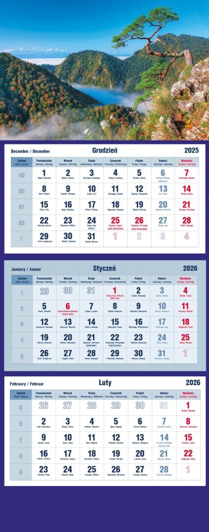 Kalendarz trójdzielny 2026 Maki Michalczyk i Prokop T-105T-01