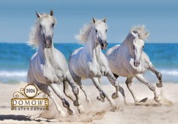 Terminarz Domowy 200x218mm 2026 - Konie Michalczyk i Prokop TW-10-6 KALENDARZ jednodzielny 200x285mm