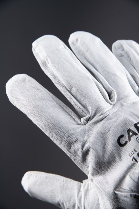 DRIVE SKÓRA BYDLĘCA - __ 8