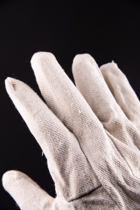 DRELICHOWE BIAŁE - Biały 10