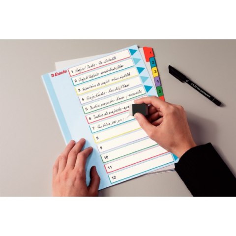 Przekładki kartonowe MYLAR A4 MAXI 1-31 ESSELTE 100210 Przekładki kartonowe MYLAR A4 MAXI 1-31 ESSELTE 100210
