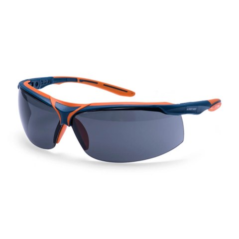 Okulary ochronne Mega KN