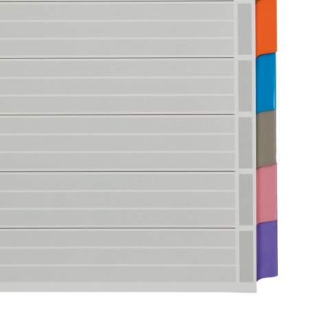 Przekładki z kartonu A4 Leitz, 10 kart 43210000 Przekładki z kartonu A4 Leitz, 10 kart 43210000