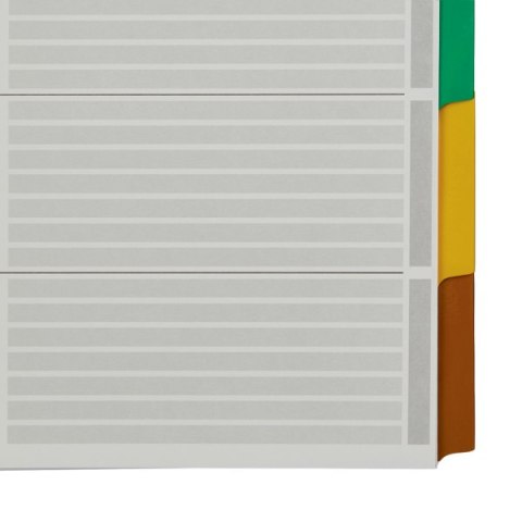 Przekładki z kartonu A4 Leitz, 5 kart 43200000 Przekładki z kartonu A4 Leitz, 5 kart 43200000