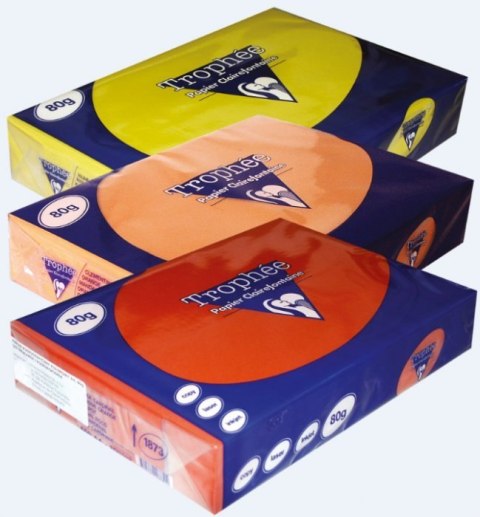 Papier xero A4 80g TROPHEE szary XCA41788 CLAIREFONTAINE Papier xero A4 80g TROPHEE szary XCA41788 CLAIREFONTAINE