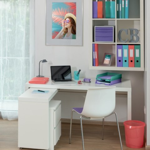 Przekładki Colour Breeze PP A4, 10 przekładek Esselte 628500 Przekładki Colour Breeze PP A4, 10 przekładek Esselte 628500