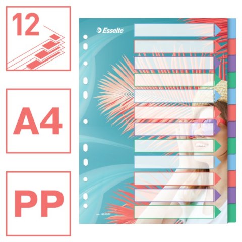 Przekładki ColourBreeze PP A4, 12 przekładek Esselte 628501 Przekładki ColourBreeze PP A4, 12 przekładek Esselte 628501