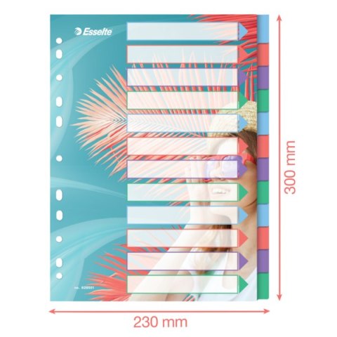 Przekładki ColourBreeze PP A4, 12 przekładek Esselte 628501 Przekładki ColourBreeze PP A4, 12 przekładek Esselte 628501