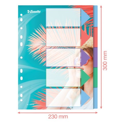Przekładki ColourBreeze PP A4, 5 przekładek Esselte 628498 Przekładki ColourBreeze PP A4, 5 przekładek Esselte 628498